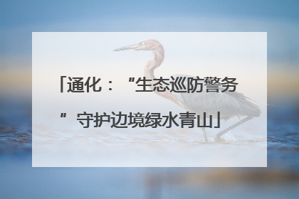 通化：“生态巡防警务”守护边境绿水青山