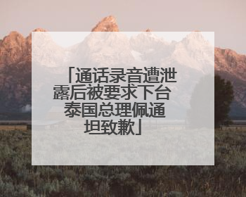 通话录音遭泄露后被要求下台 泰国总理佩通坦致歉