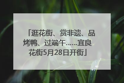 逛花街、赏非遗、品烤鸭、过端午……宜良花街5月28日开街