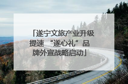 遂宁文旅产业升级提速 “遂心礼”品牌外宣战略启动
