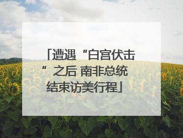 遭遇“白宫伏击”之后 南非总统结束访美行程