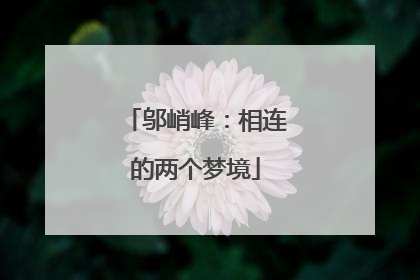 邬峭峰：相连的两个梦境