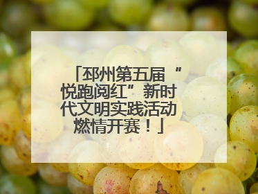 邳州第五届“悦跑阅红”新时代文明实践活动燃情开赛！
