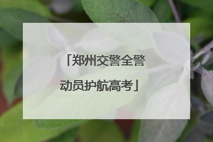 郑州交警全警动员护航高考