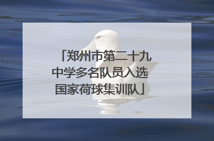 郑州市第二十九中学多名队员入选国家荷球集训队