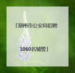 郑州市公安局招聘1060名辅警