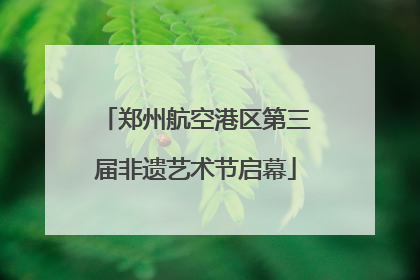 郑州航空港区第三届非遗艺术节启幕