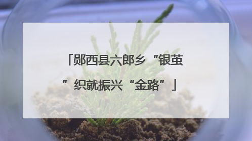 郧西县六郎乡“银茧”织就振兴“金路”