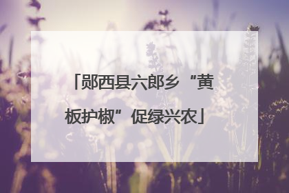 郧西县六郎乡“黄板护椒”促绿兴农