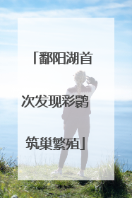 鄱阳湖首次发现彩鹮筑巢繁殖