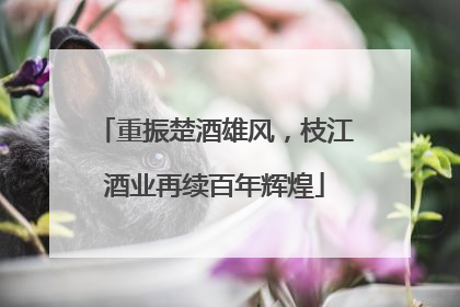 重振楚酒雄风，枝江酒业再续百年辉煌