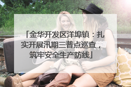 金华开发区洋埠镇：扎实开展汛期三普点巡查，筑牢安全生产防线