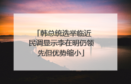 韩总统选举临近 民调显示李在明仍领先但优势缩小