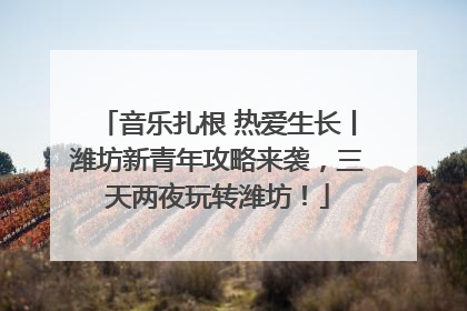 音乐扎根 热爱生长丨潍坊新青年攻略来袭，三天两夜玩转潍坊！