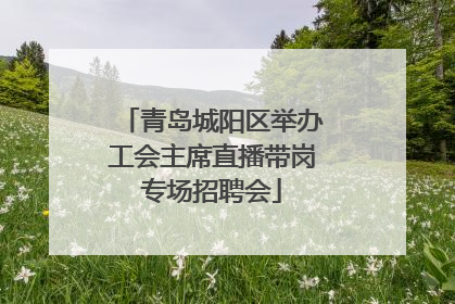 青岛城阳区举办工会主席直播带岗专场招聘会