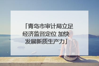 青岛市审计局立足经济监督定位 加快发展新质生产力
