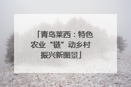 青岛莱西：特色农业“链”动乡村振兴新图景