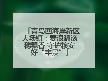 青岛西海岸新区大场镇：麦浪翻滚穗飘香 守护粮安好“丰景”