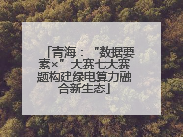 青海：“数据要素×”大赛七大赛题构建绿电算力融合新生态