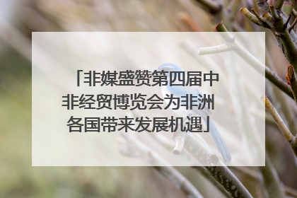 非媒盛赞第四届中非经贸博览会为非洲各国带来发展机遇