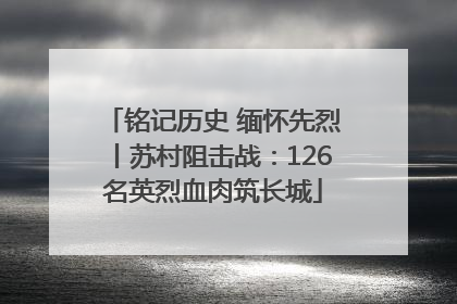 铭记历史 缅怀先烈丨苏村阻击战：126名英烈血肉筑长城