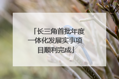 长三角首批年度一体化发展实事项目顺利完成