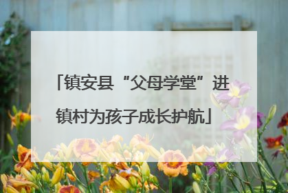 镇安县“父母学堂”进镇村为孩子成长护航