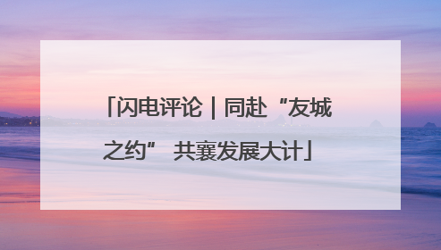 闪电评论｜同赴“友城之约” 共襄发展大计