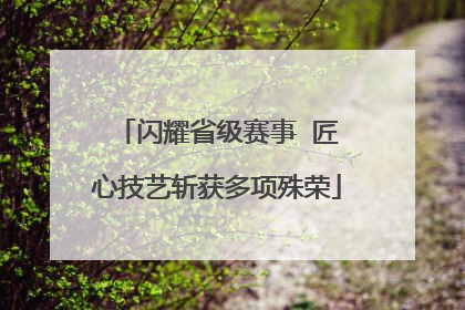闪耀省级赛事  匠心技艺斩获多项殊荣