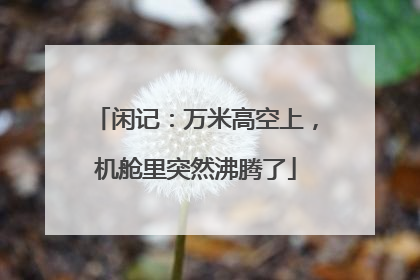 闲记：万米高空上，机舱里突然沸腾了