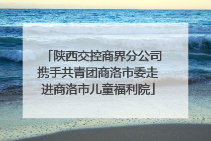 陕西交控商界分公司携手共青团商洛市委走进商洛市儿童福利院