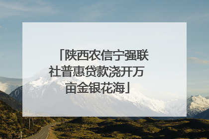 陕西农信宁强联社普惠贷款浇开万亩金银花海