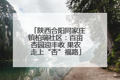 陕西合阳同家庄镇柏瑞社区：百亩杏园迎丰收 果农走上“杏”福路