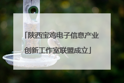 陕西宝鸡电子信息产业创新工作室联盟成立