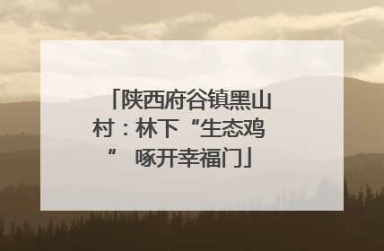 陕西府谷镇黑山村：林下“生态鸡” 啄开幸福门