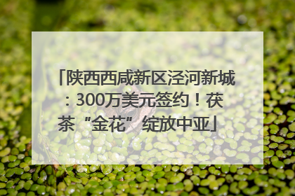 陕西西咸新区泾河新城：300万美元签约！茯茶“金花”绽放中亚