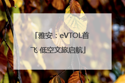 雅安：eVTOL首飞 低空文旅启航