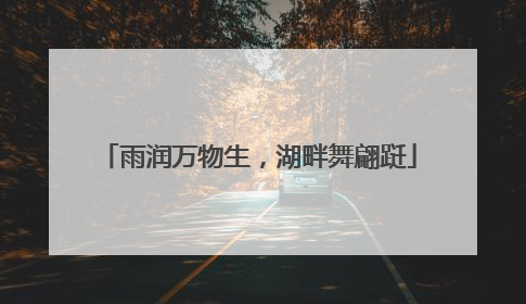 雨润万物生，湖畔舞翩跹