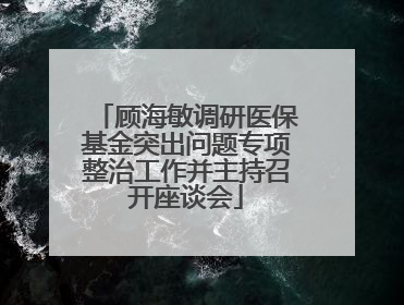 顾海敏调研医保基金突出问题专项整治工作并主持召开座谈会