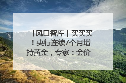 风口智库｜买买买！央行连续7个月增持黄金，专家：金价或仍易涨难跌
