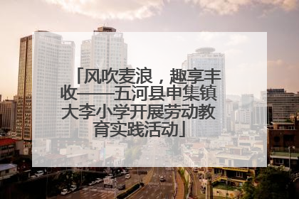 风吹麦浪，趣享丰收——五河县申集镇大李小学开展劳动教育实践活动