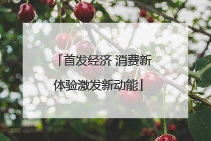 首发经济 消费新体验激发新动能