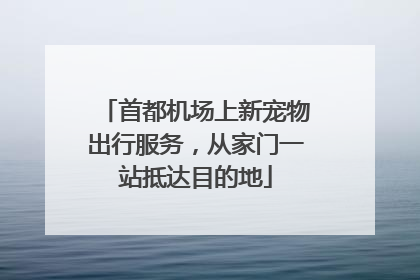 首都机场上新宠物出行服务，从家门一站抵达目的地