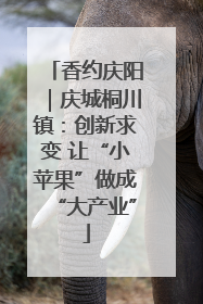 香约庆阳｜庆城桐川镇：创新求变 让“小苹果”做成“大产业”