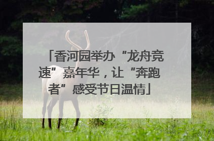 香河园举办“龙舟竞速”嘉年华，让“奔跑者”感受节日温情