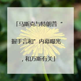 马斯克与特朗普“握手言和”内幕曝光，和万斯有关