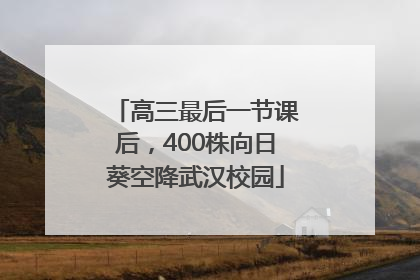 高三最后一节课后，400株向日葵空降武汉校园