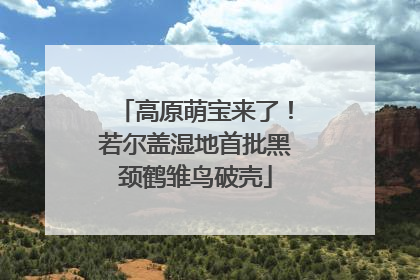 高原萌宝来了！若尔盖湿地首批黑颈鹤雏鸟破壳