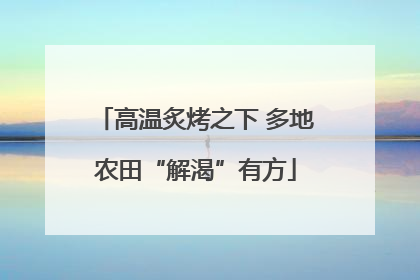高温炙烤之下 多地农田“解渴”有方