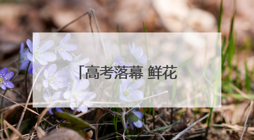 高考落幕 鲜花送孩子送师长